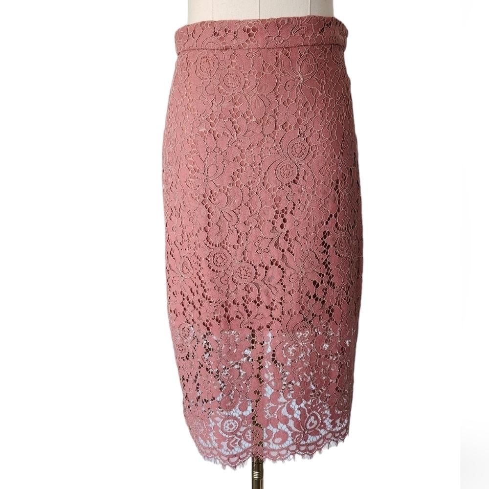 NWT Dynamite Lace Pencil Skirt